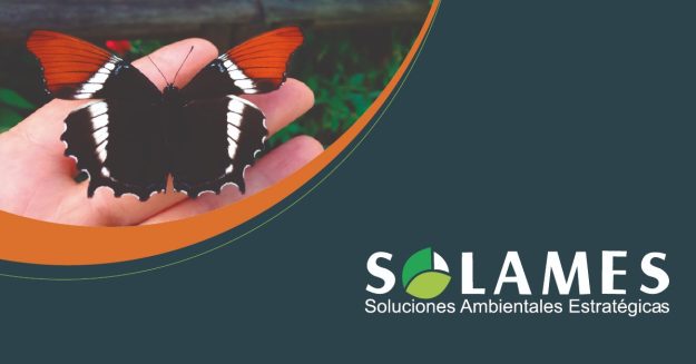El Páramo de Santurbán
